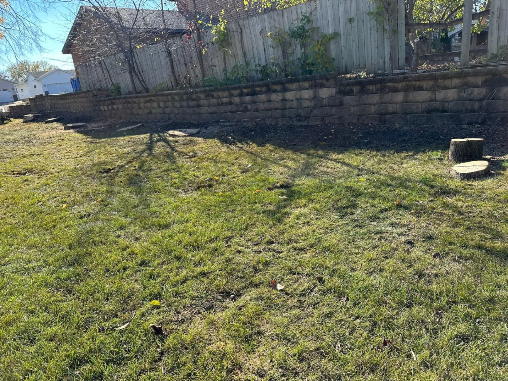 Gallery image 141