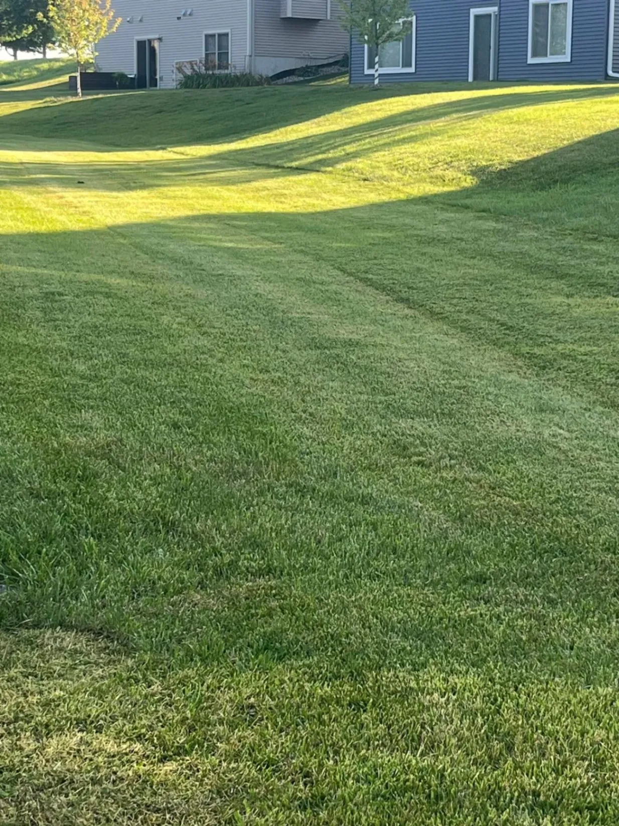 Gallery image 14