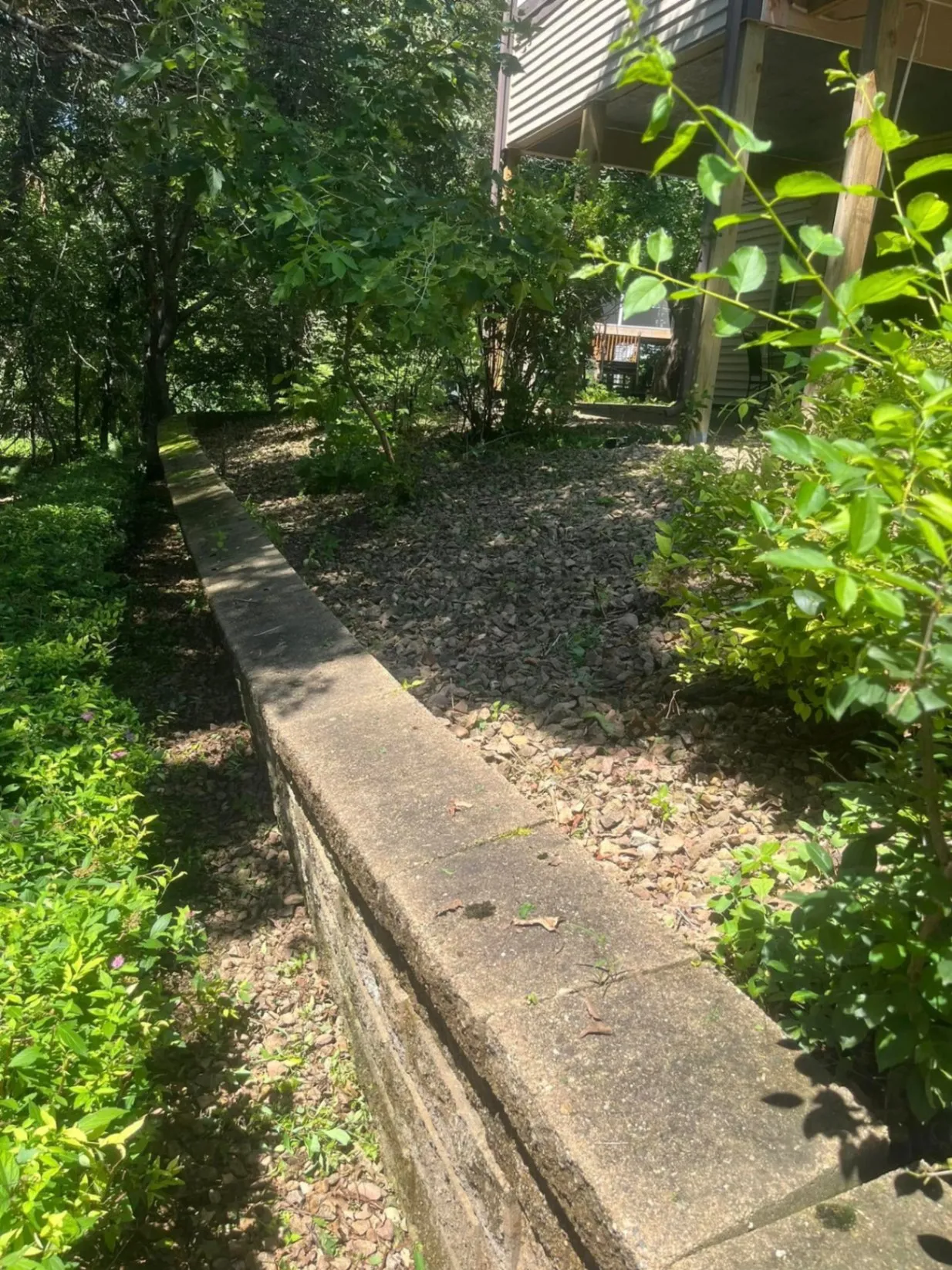 Gallery image 38