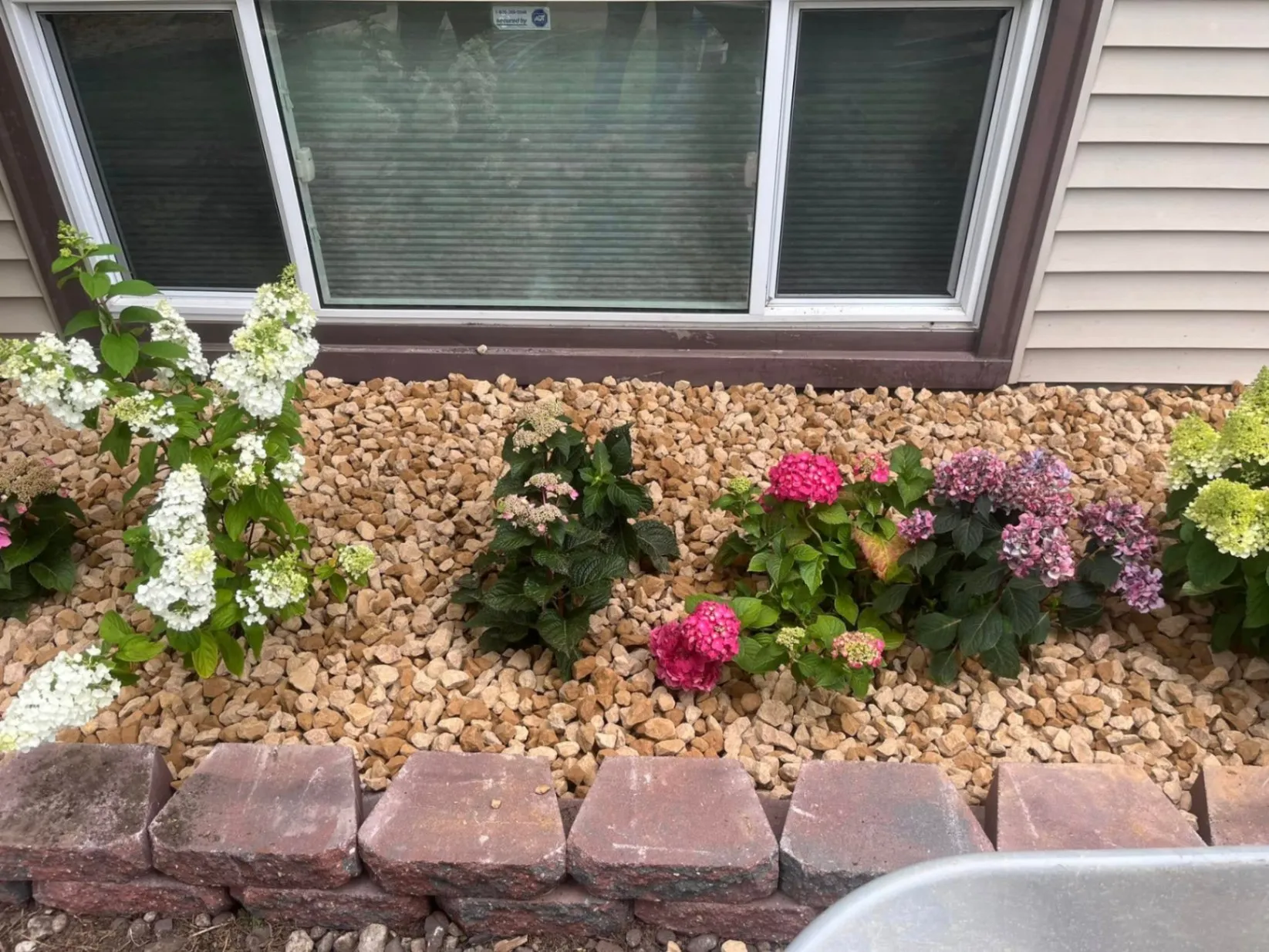 Gallery image 62