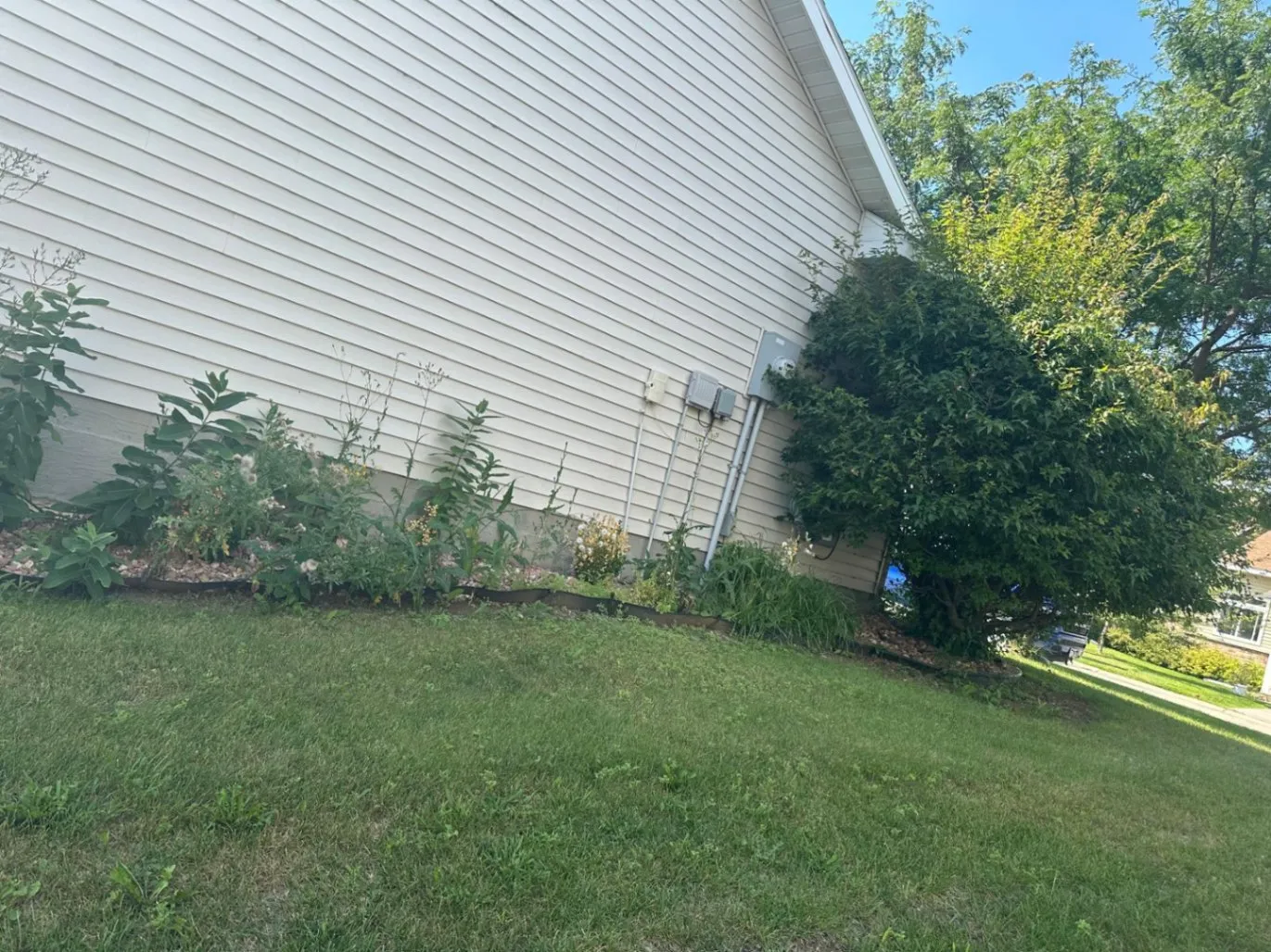 Gallery image 335
