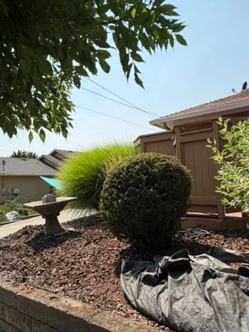 Muniz Landscaping LLC