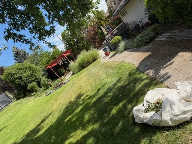 Gallery image 12