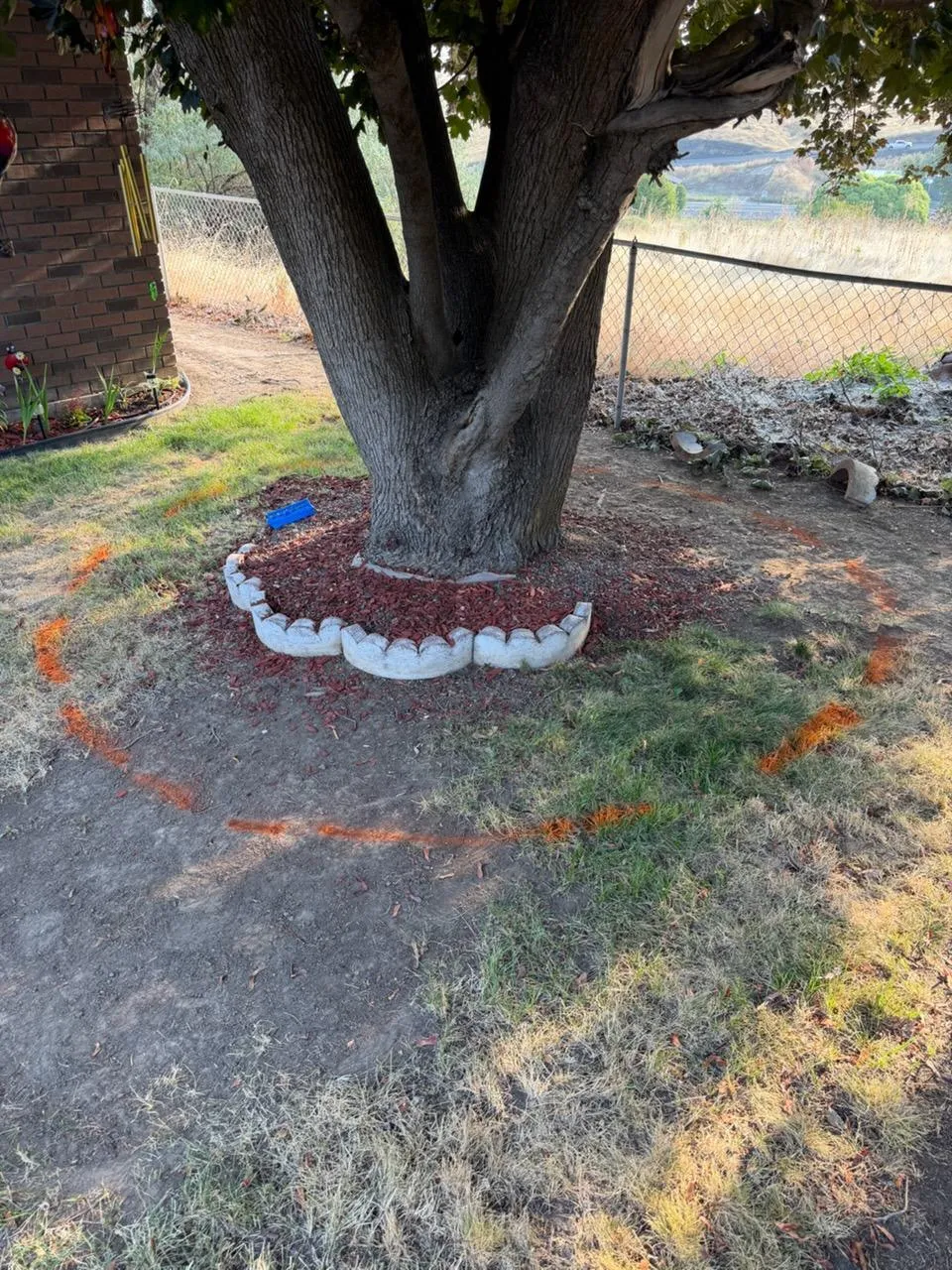 Gallery image 17