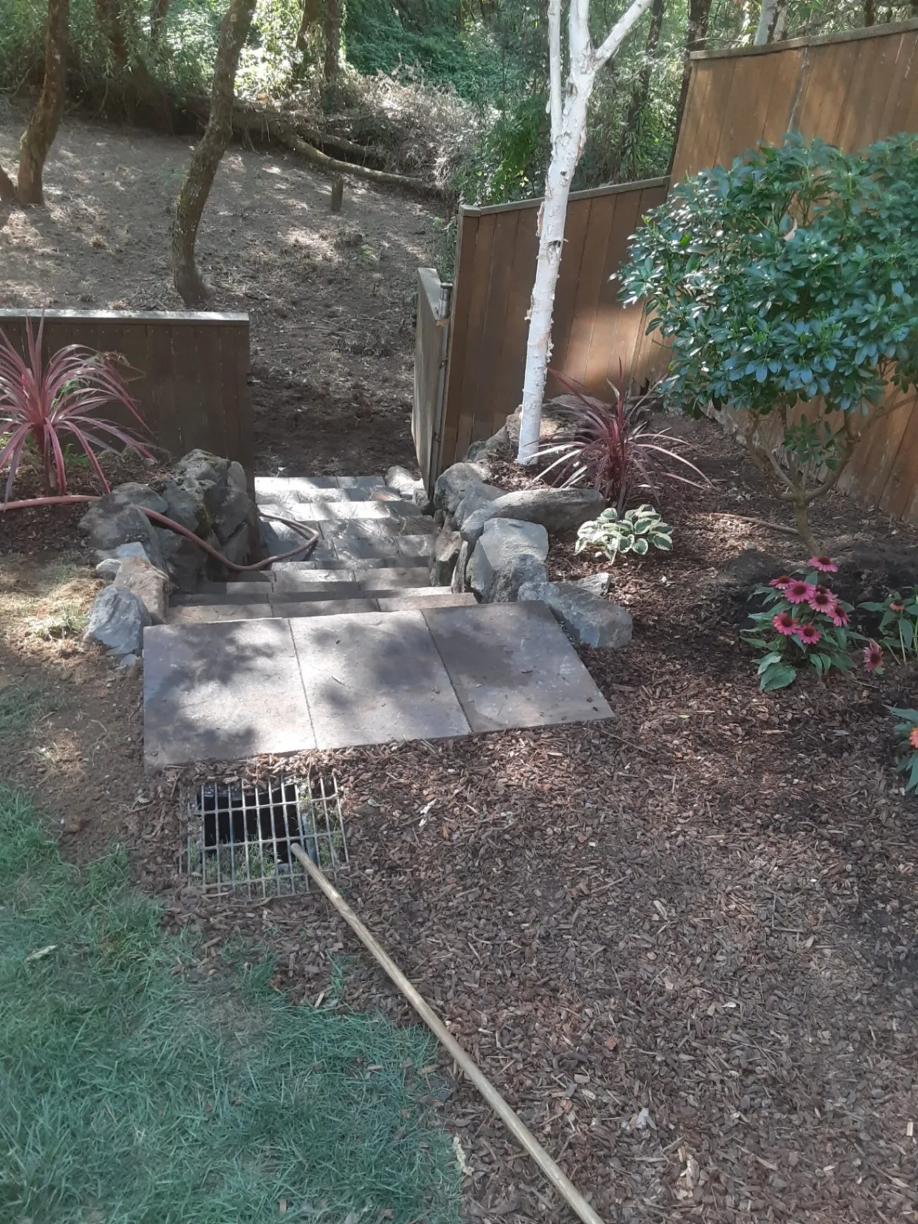 Gallery image 11