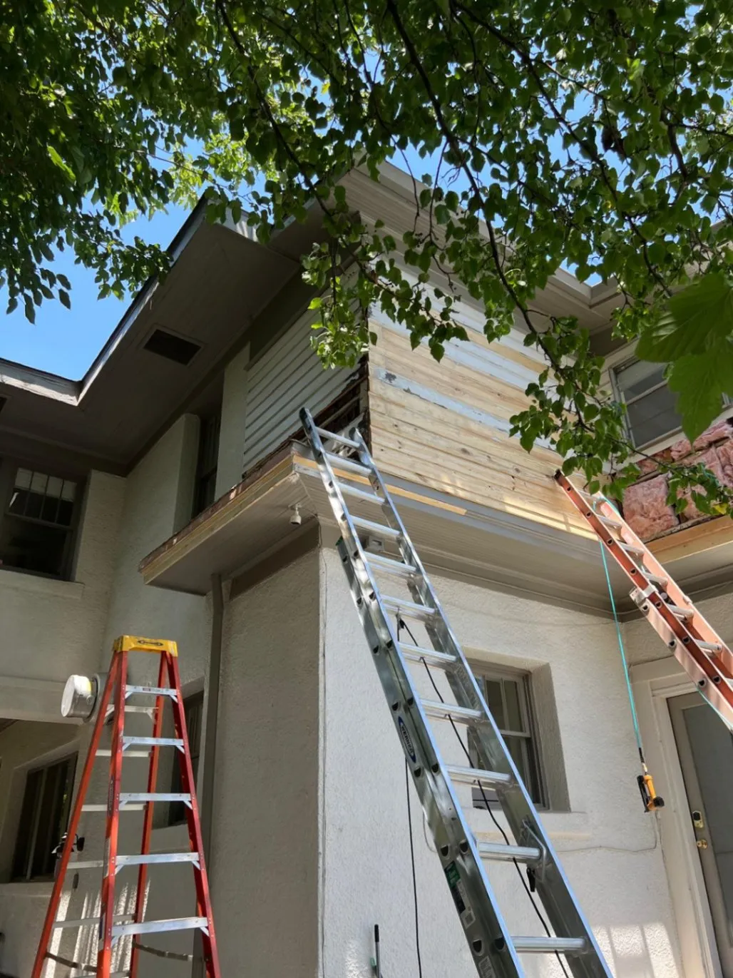 Gallery image 55