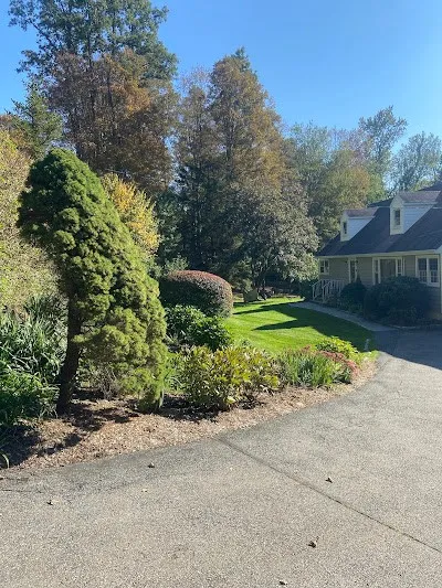 Gallery image 12