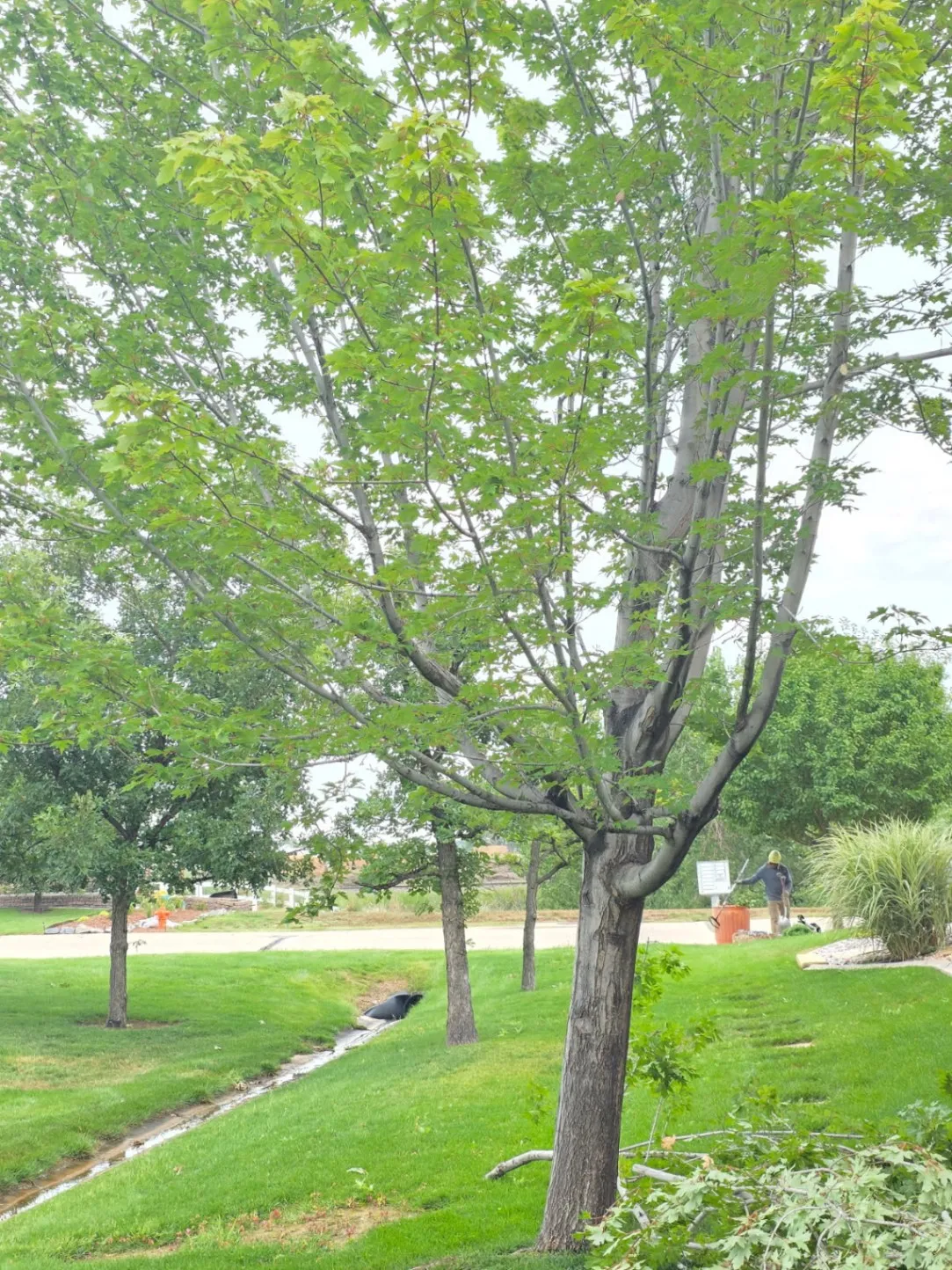 Gallery image 6