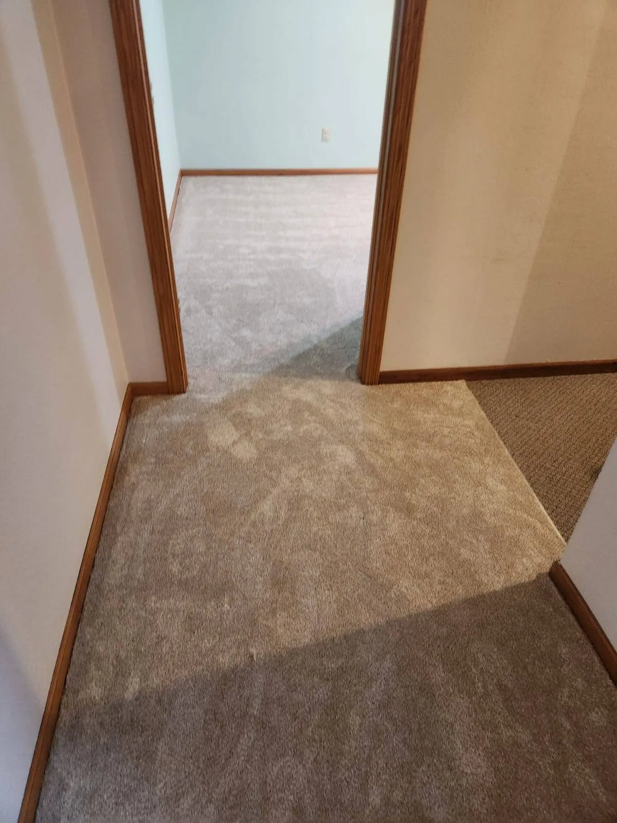Additional image 1