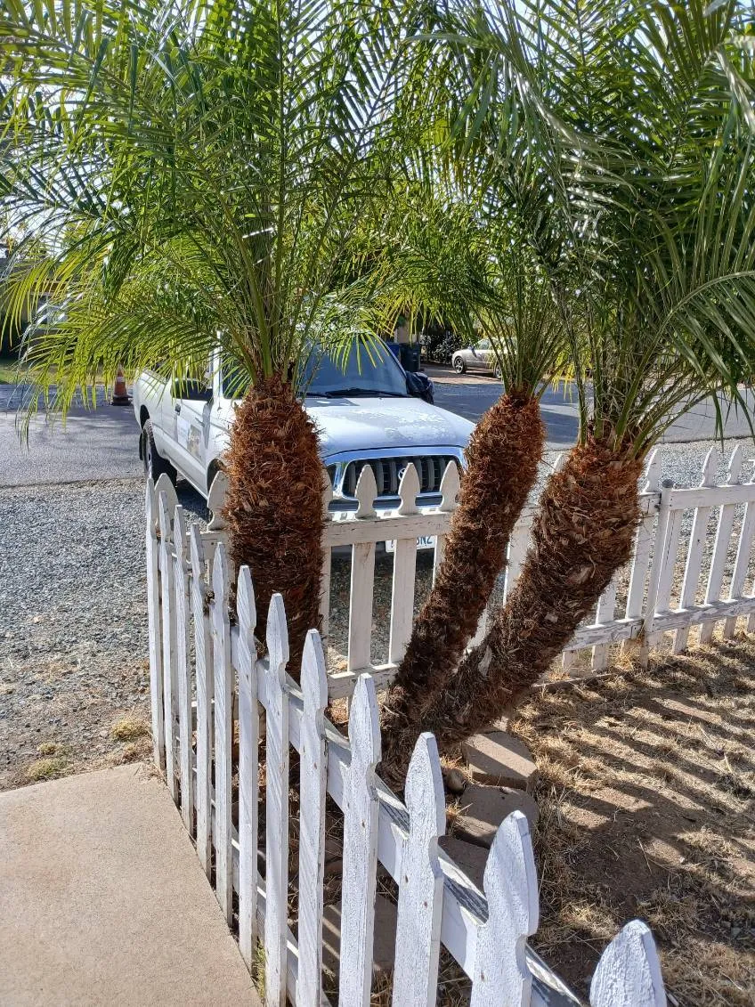 Raul's Landscaping