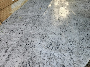 Gallery image 67