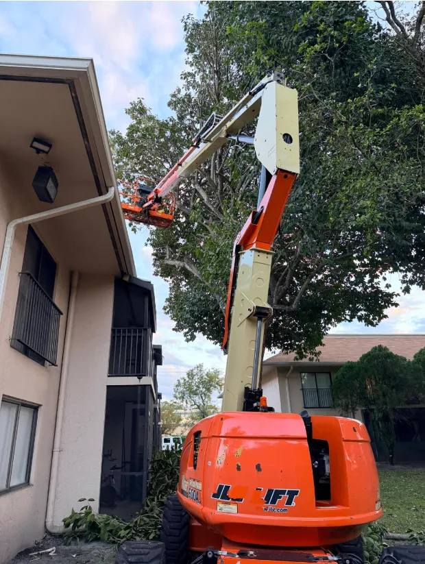 Services Tree Trimming
