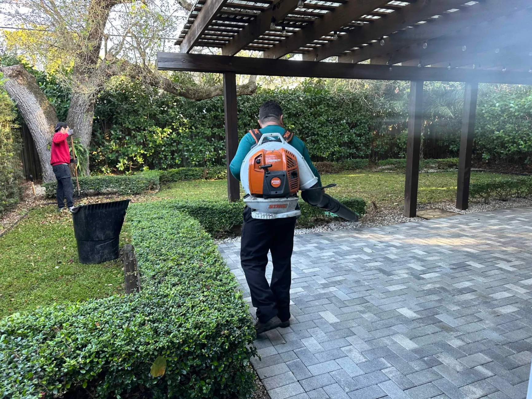 Hedge Removal