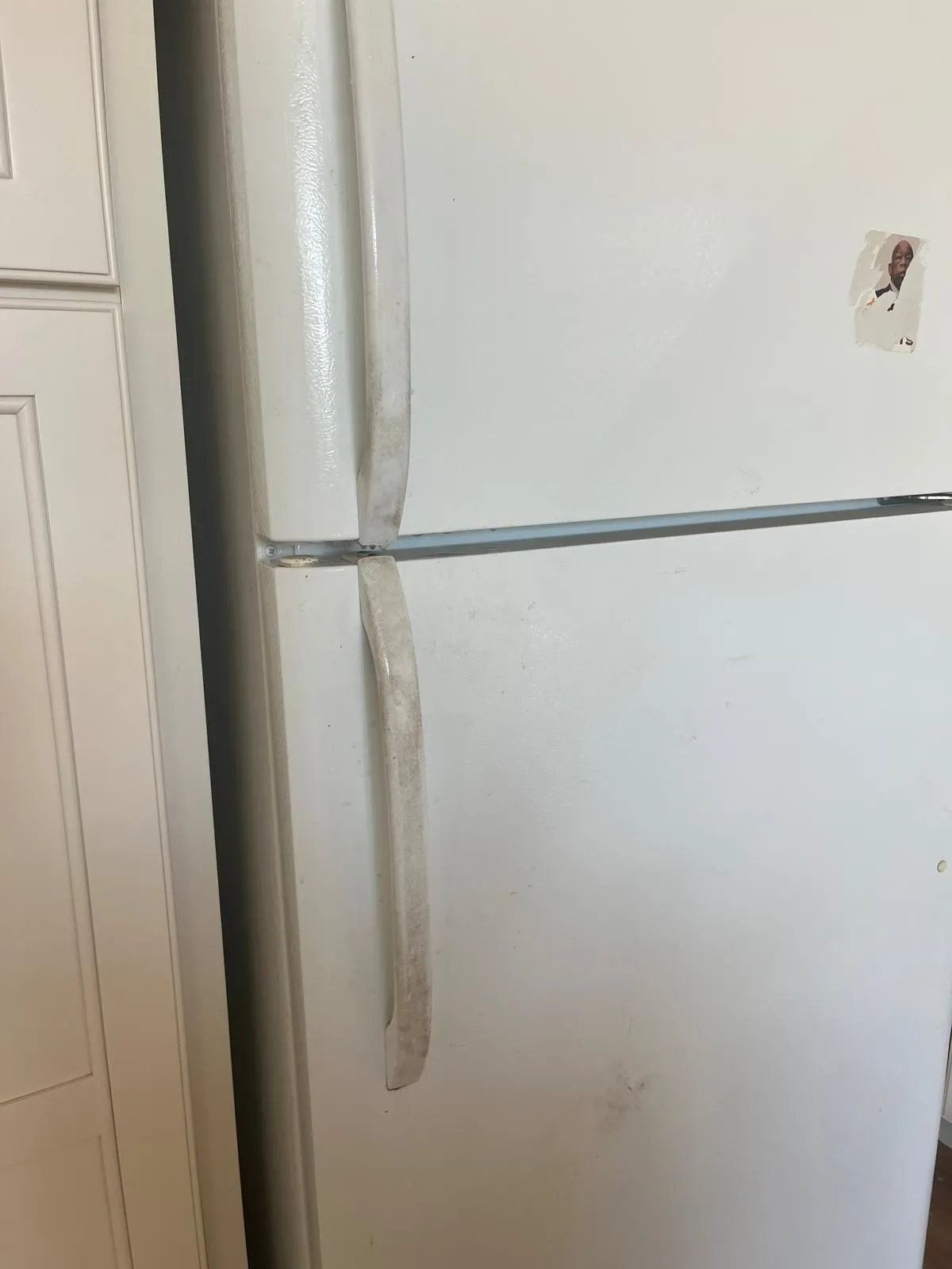 Gallery image 16