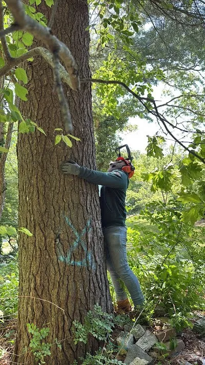 Cape Home Landscaping Inc