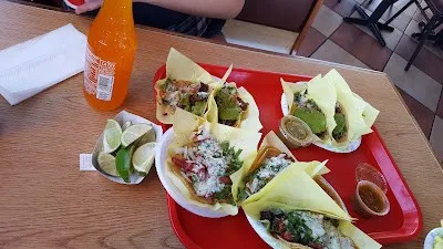 Gallery image 66