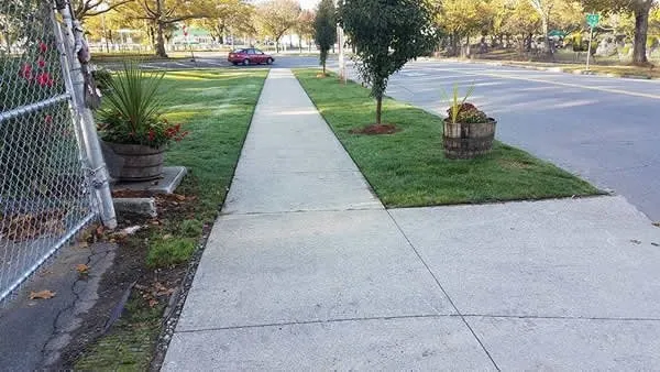 img2