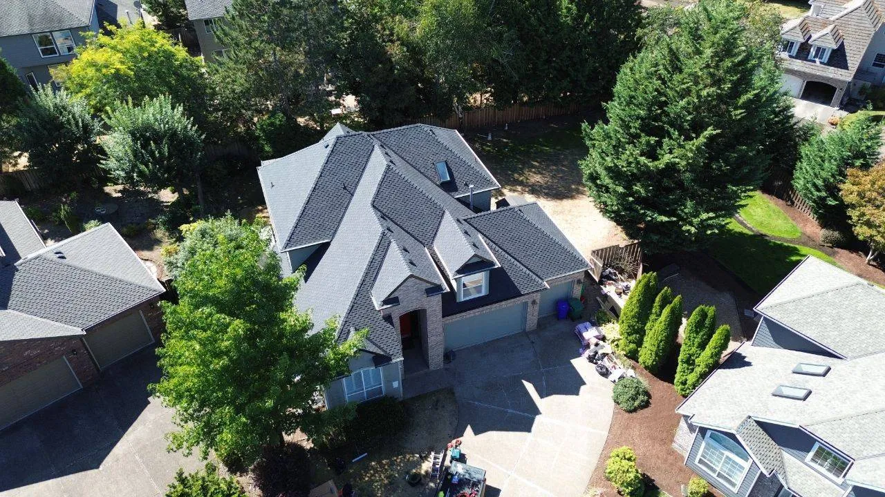 Portfolio project 40