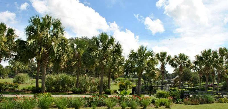 Gallery image 18