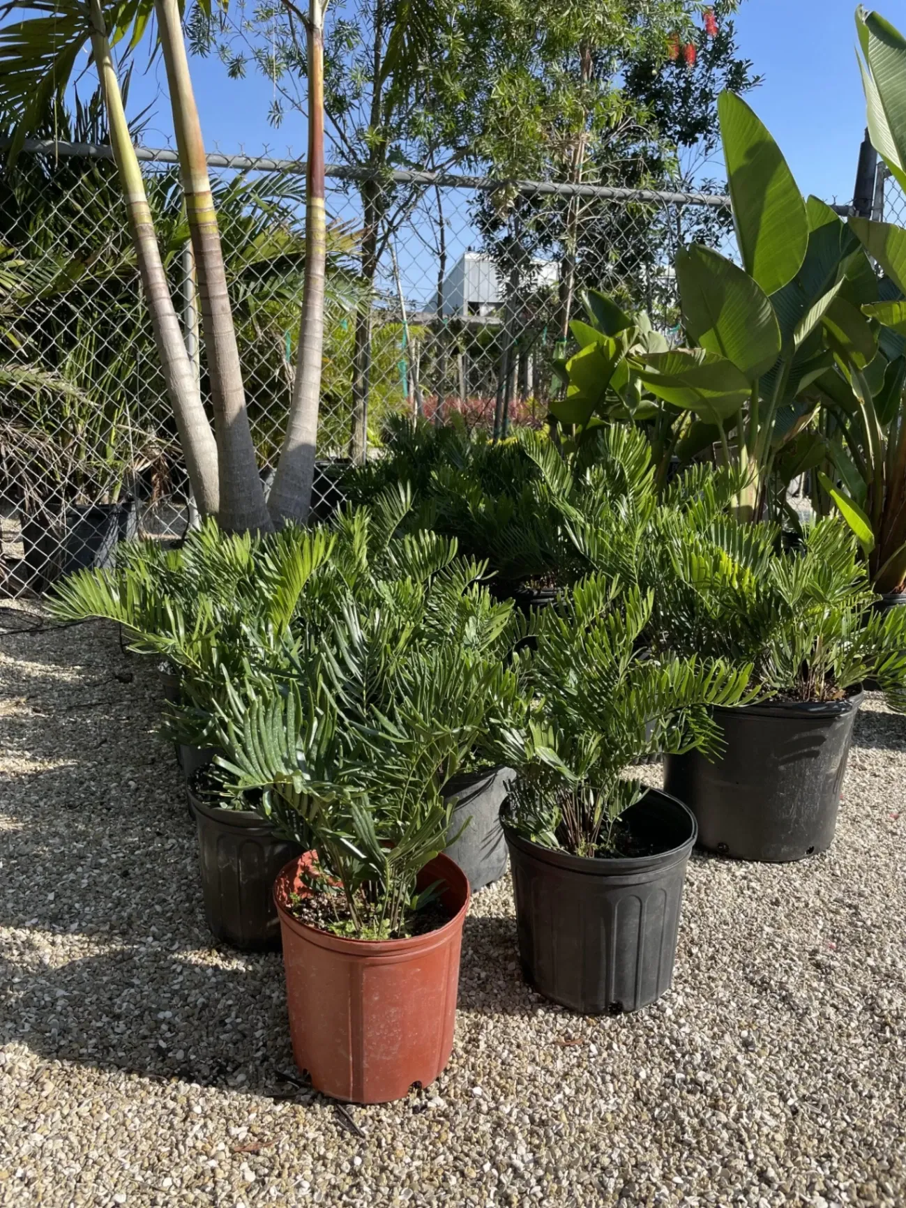 Gallery image 25