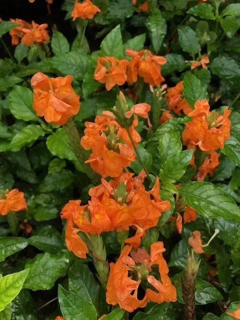 Gallery image 28