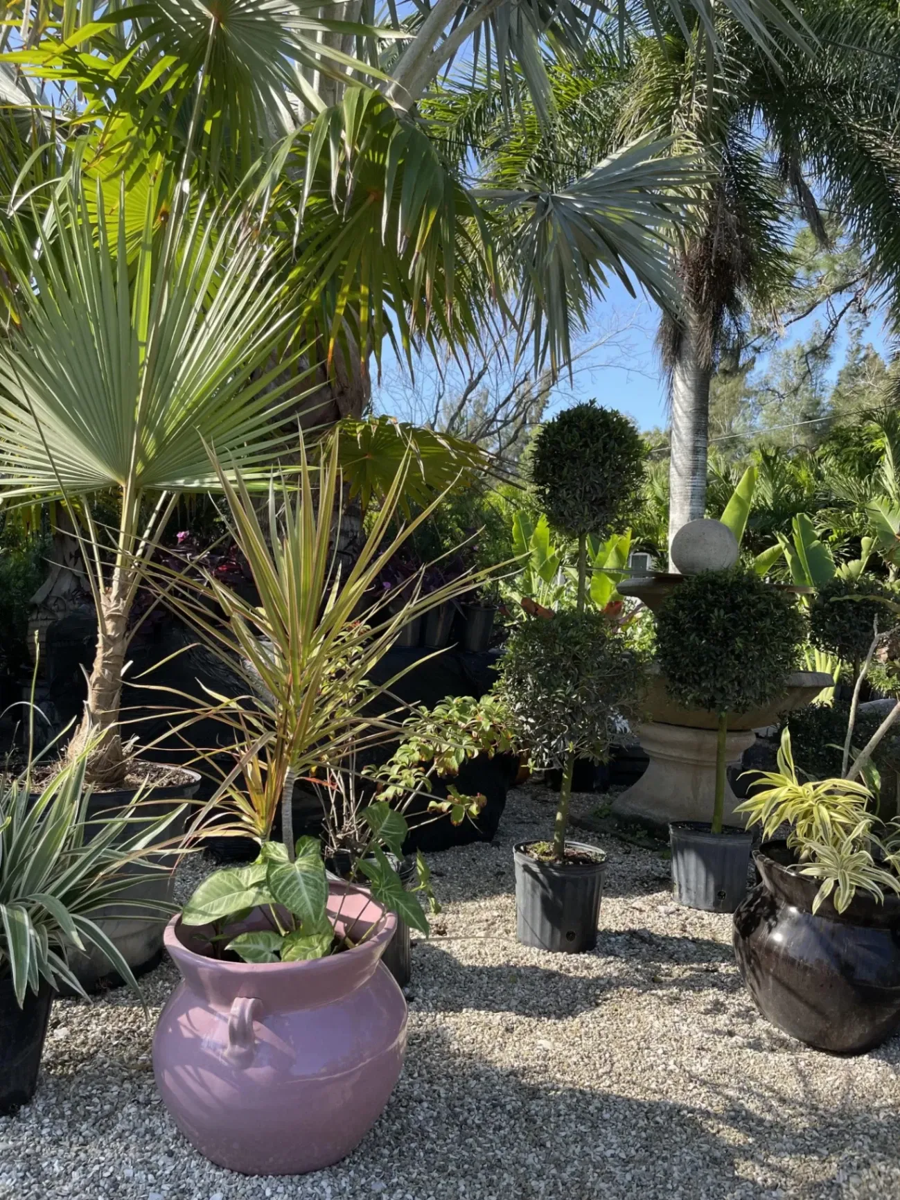 Gallery image 42