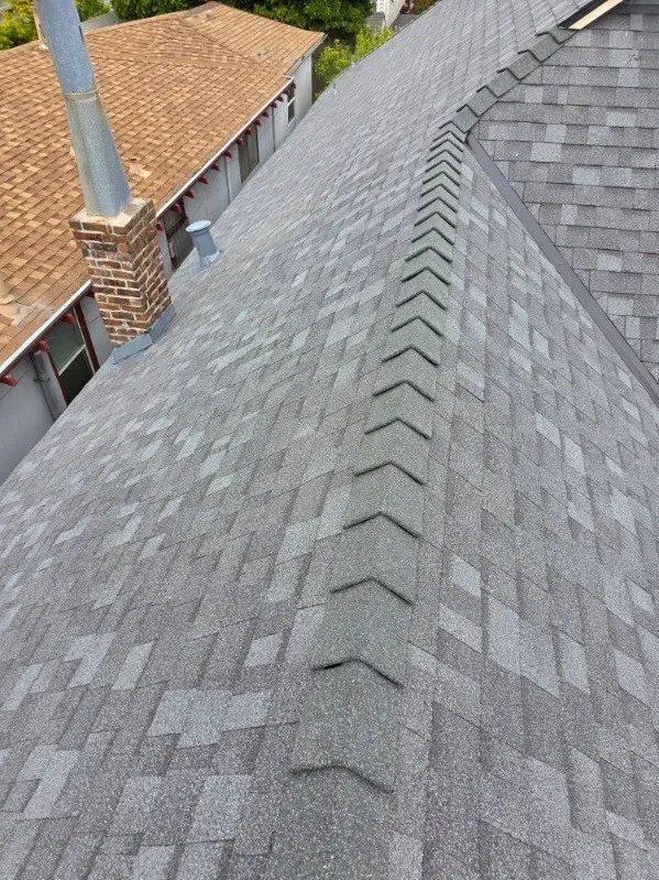 Gallery image 15