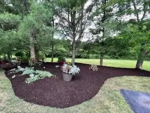 Mulching Services