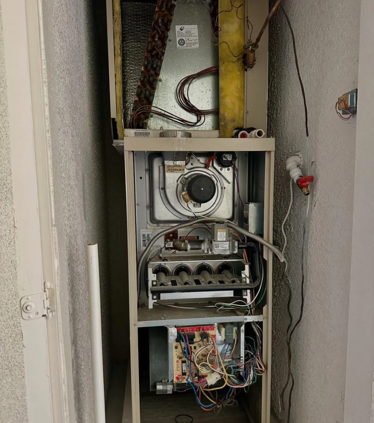 Gallery image 7