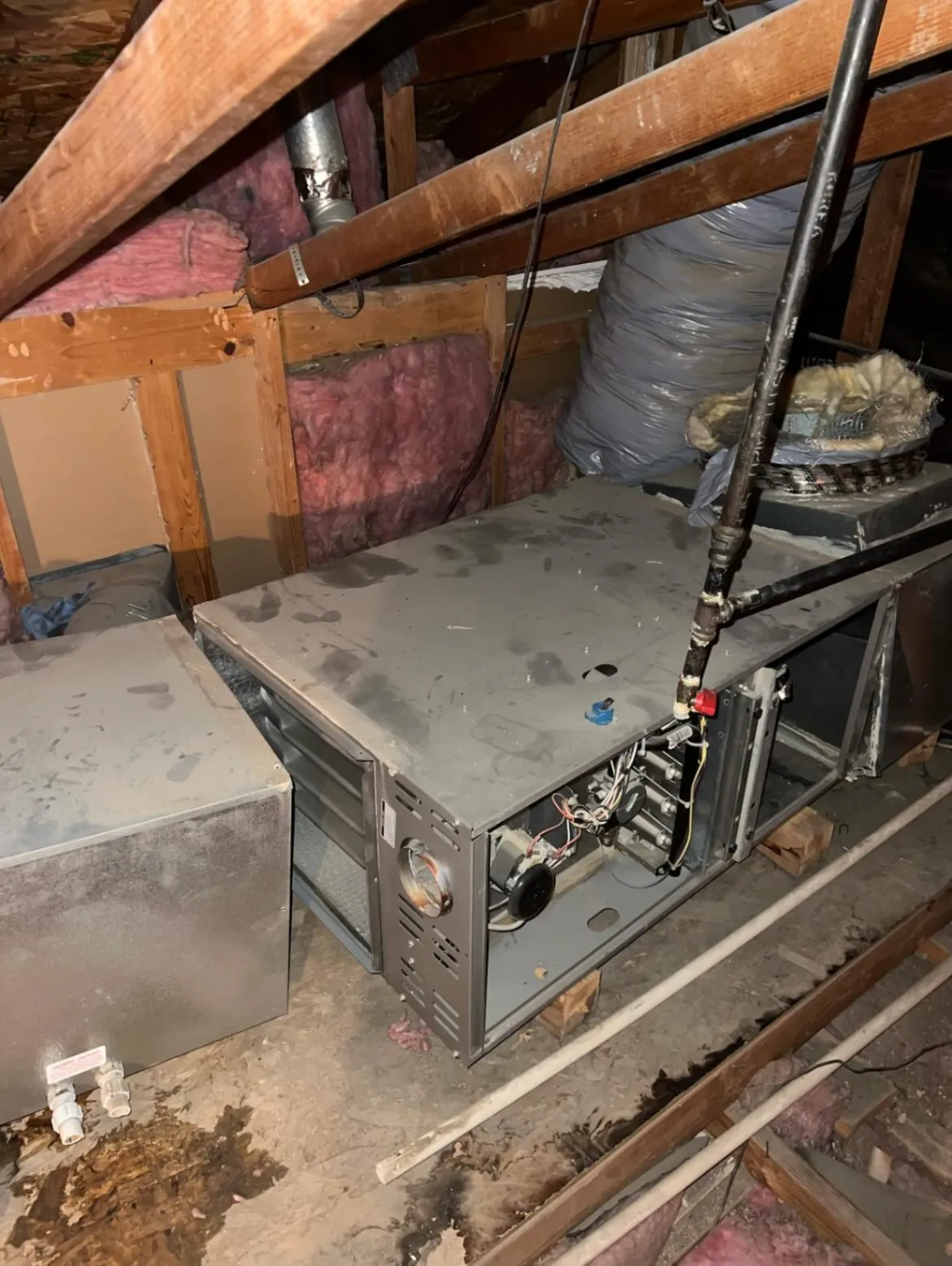 Gallery image 17