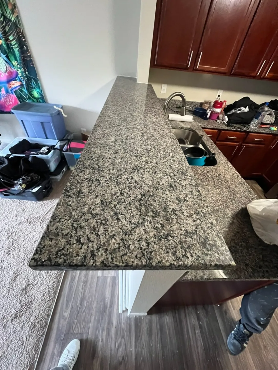 Gallery image 52