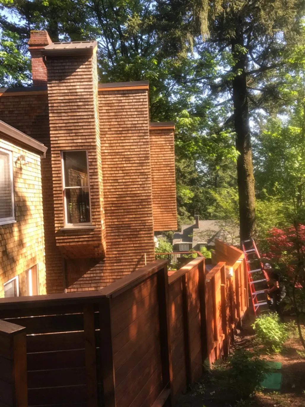Gallery image 51