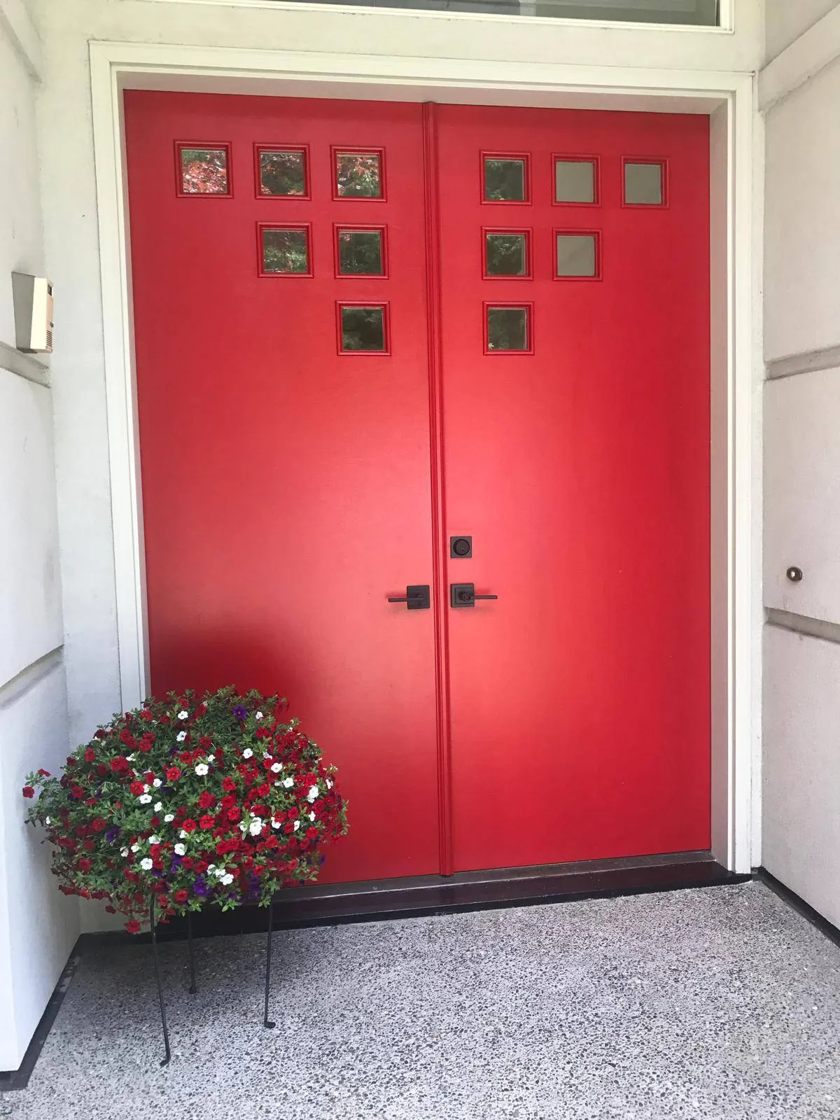 Gallery image 56