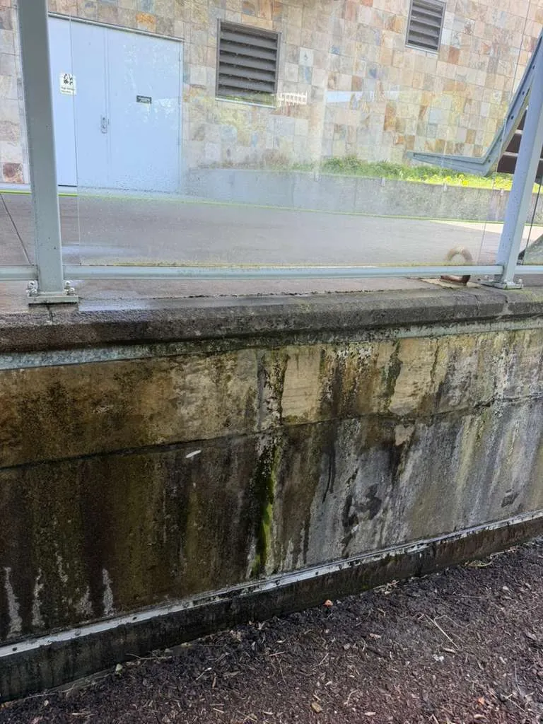 Gallery image 62
