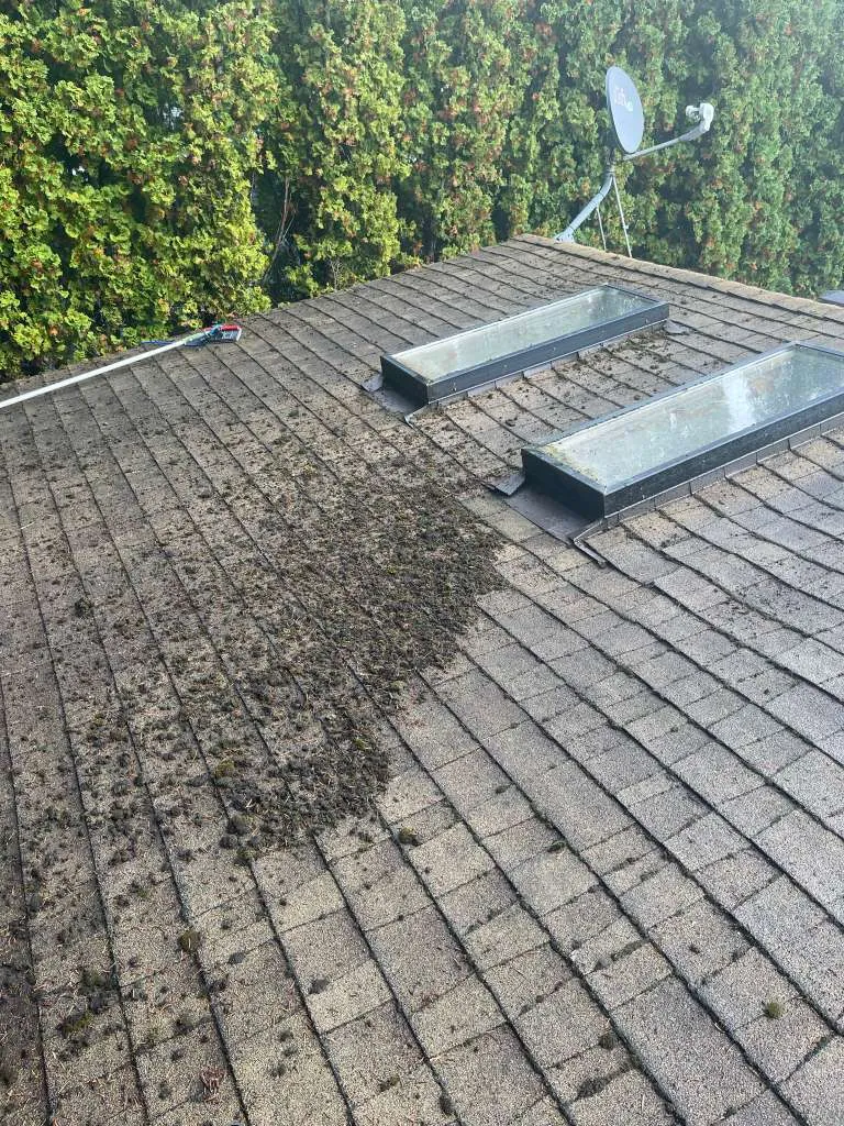 MVM WINDOW CLEANING LLC