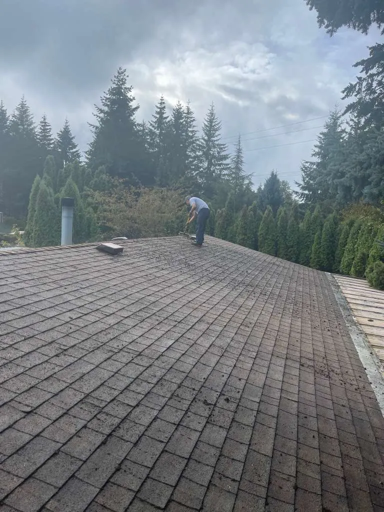 MVM WINDOW CLEANING LLC