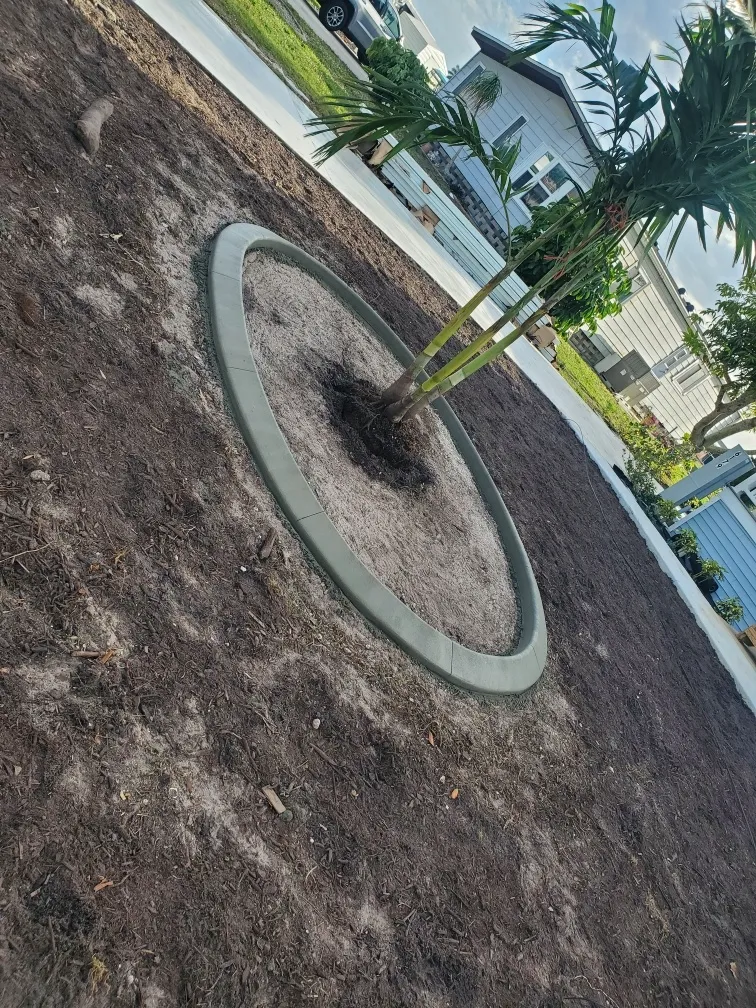 Gallery image 11