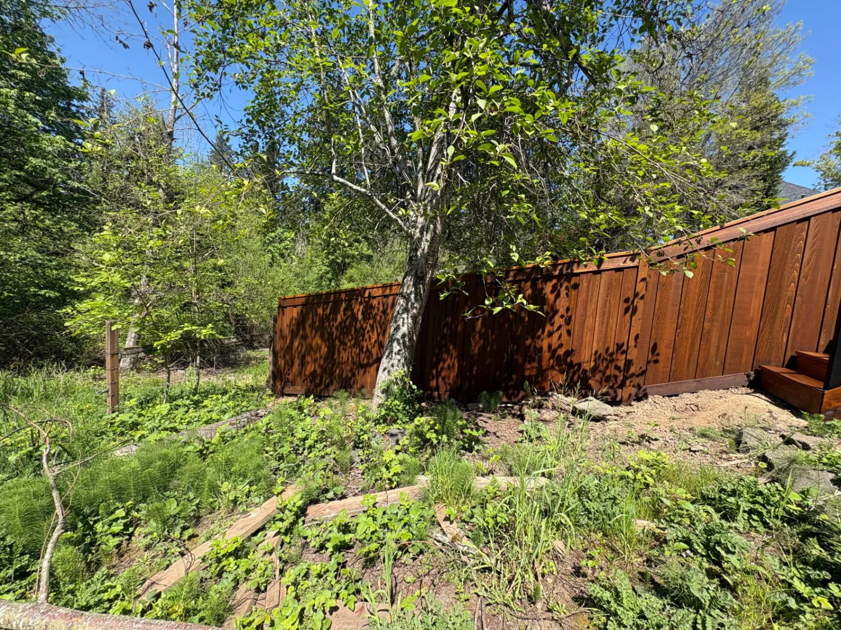 Gallery image 11