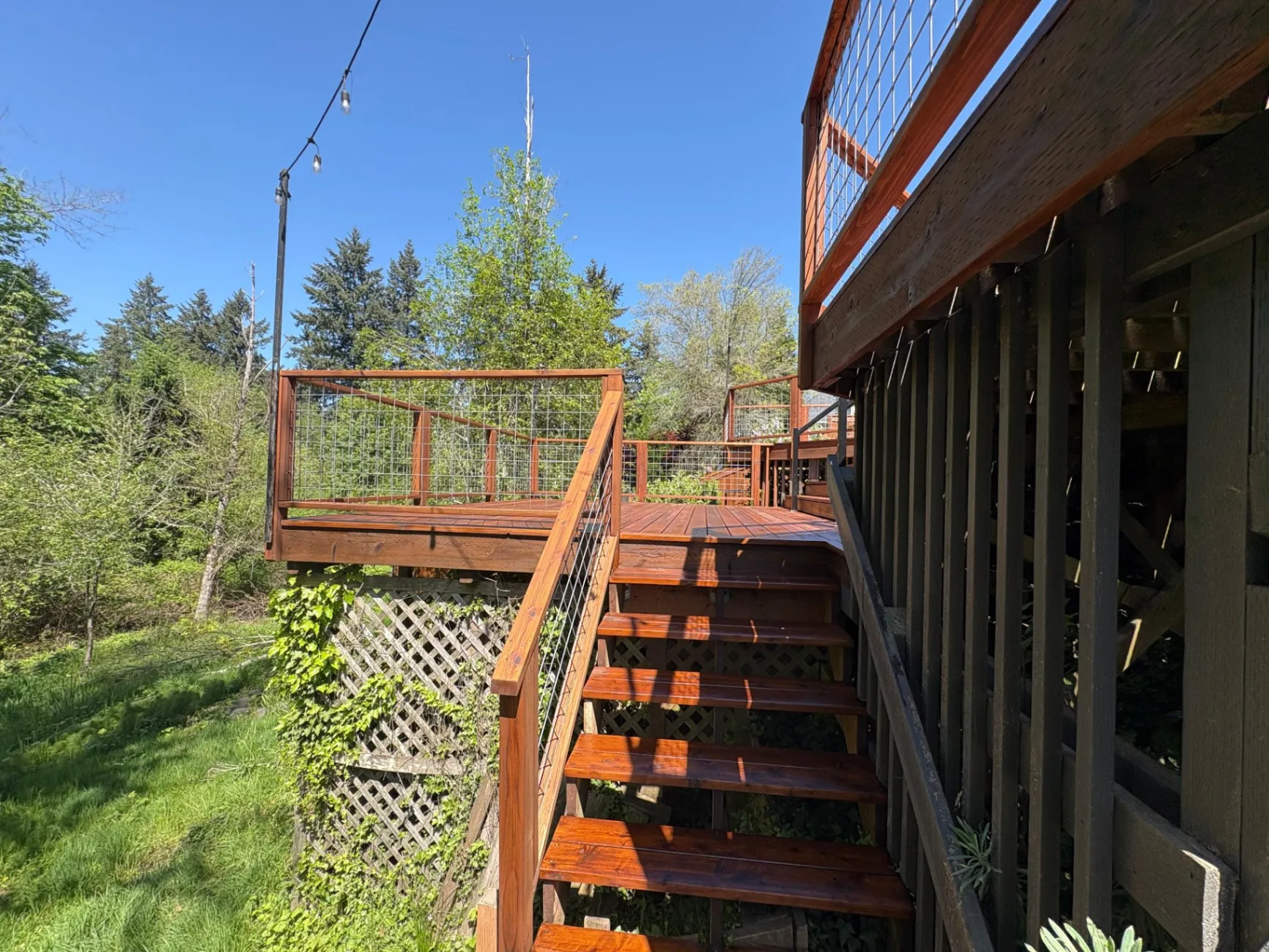 Gallery image 12