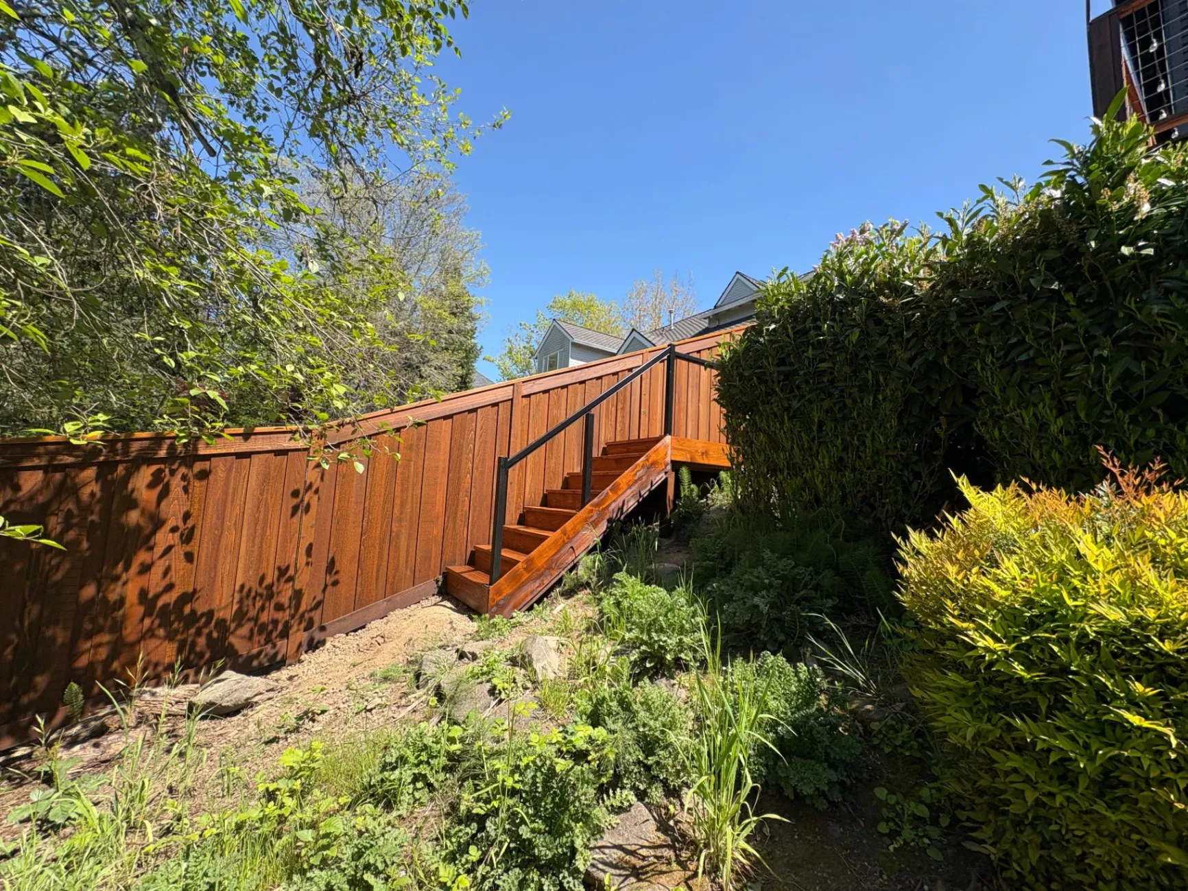 Gallery image 14
