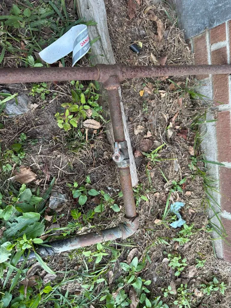 Imagen de galería 1