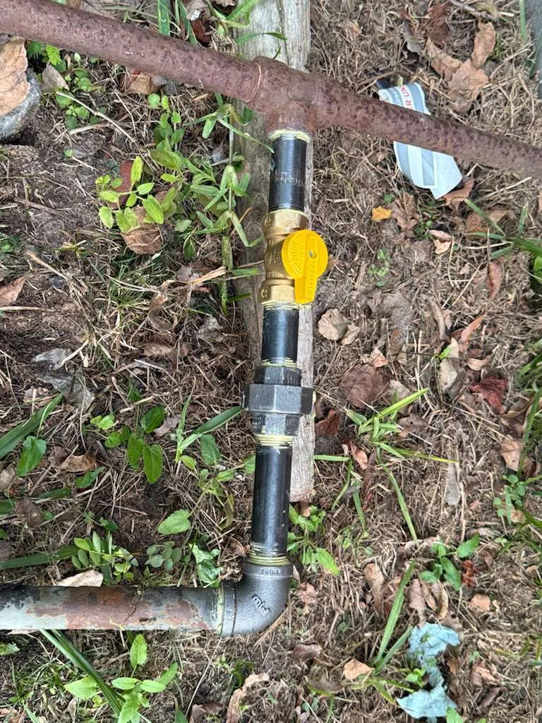 Imagen de galería 2