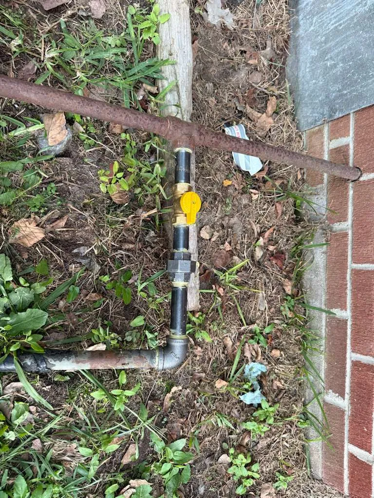 Imagen de galería 3