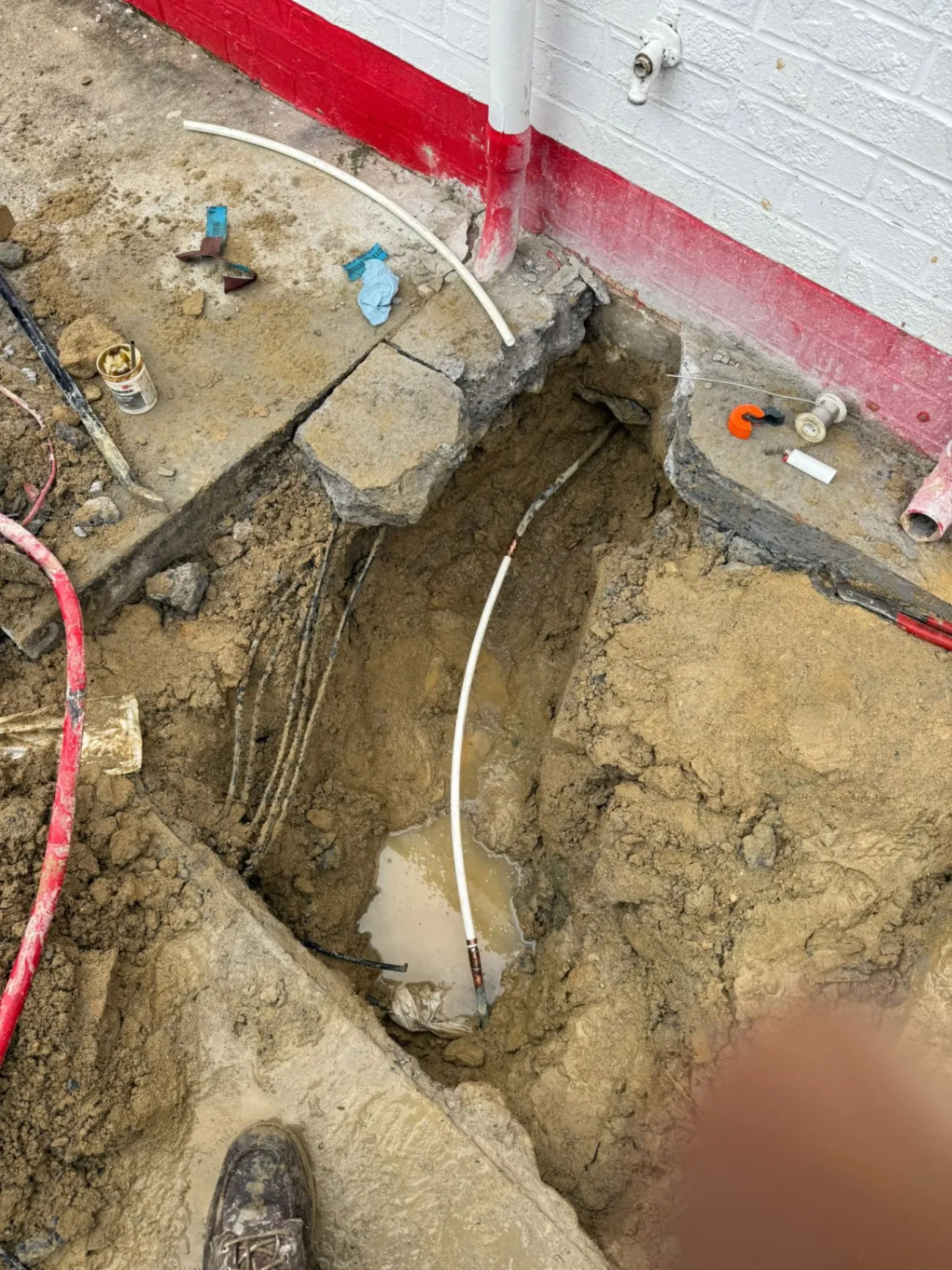 Gallery image 12