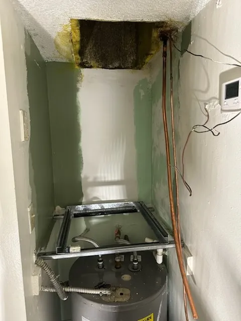 Gallery image 11