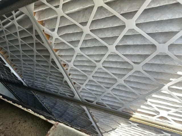 Gallery image 14