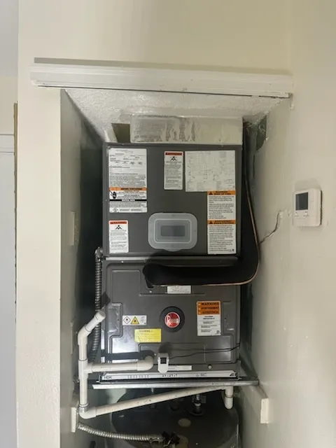 Gallery image 17