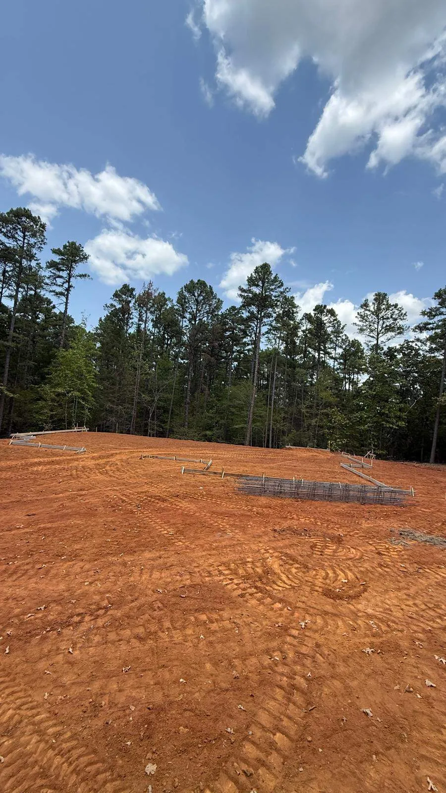 Gallery image 87