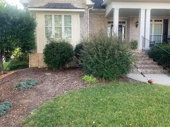 Gallery image 21