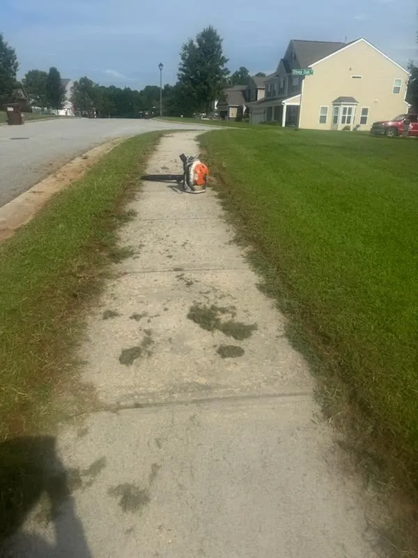 Gallery image 53